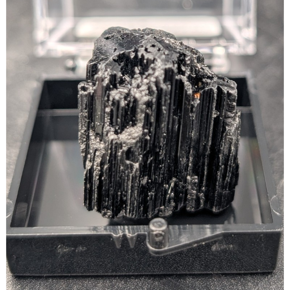Natural Black Tourmaline Crystal in Display Box | Schorl Mineral Specimen